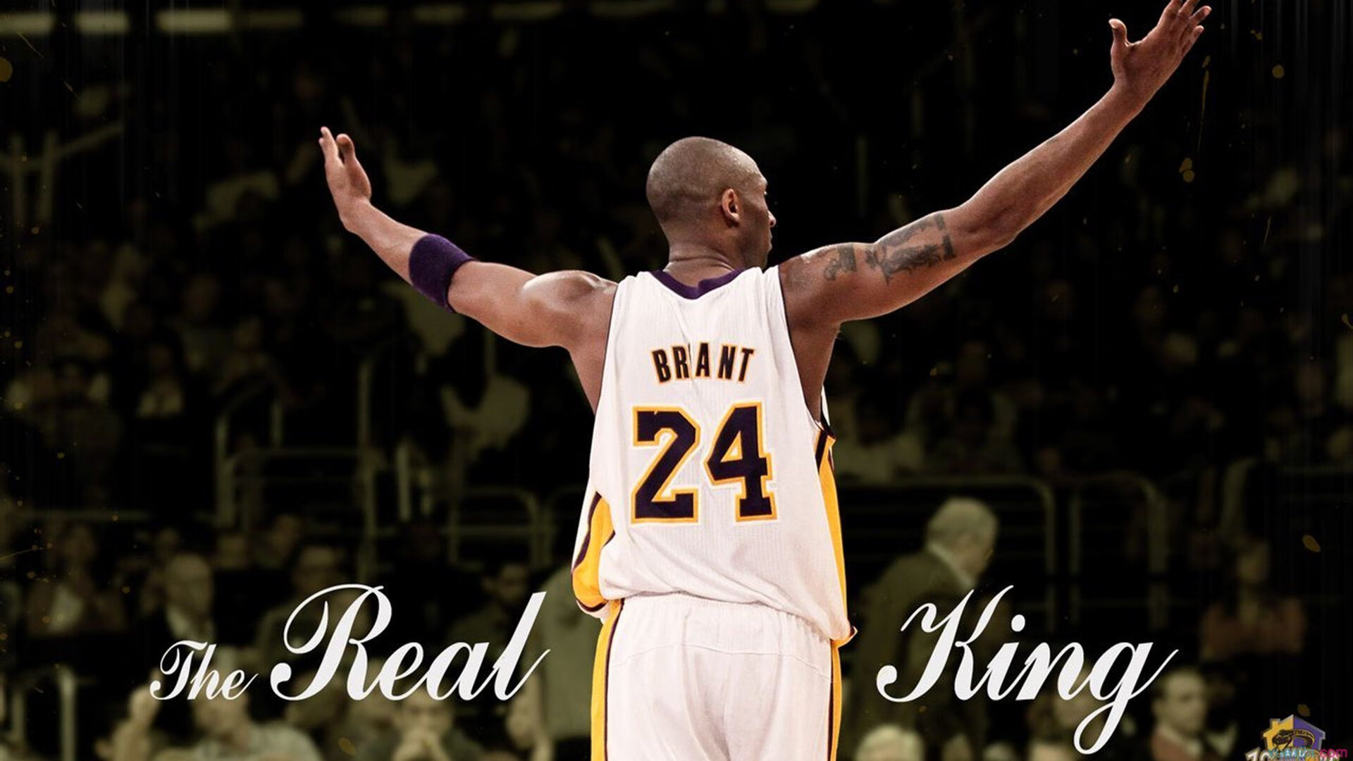 从沙漠到绿茵，沙特资本重塑足球版图与阿拉巴的欧冠大师课