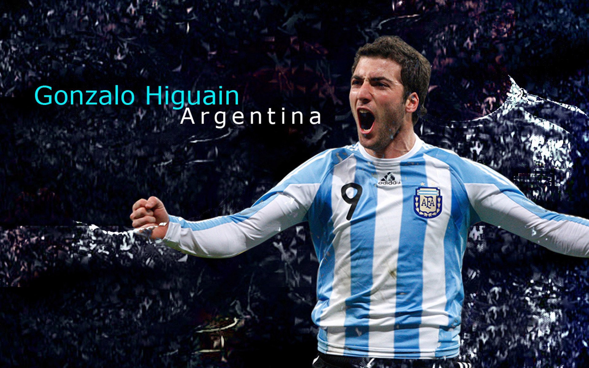 德约科维奇，从美网横扫到戴维斯杯制胜，关键先生如何定义网坛传奇